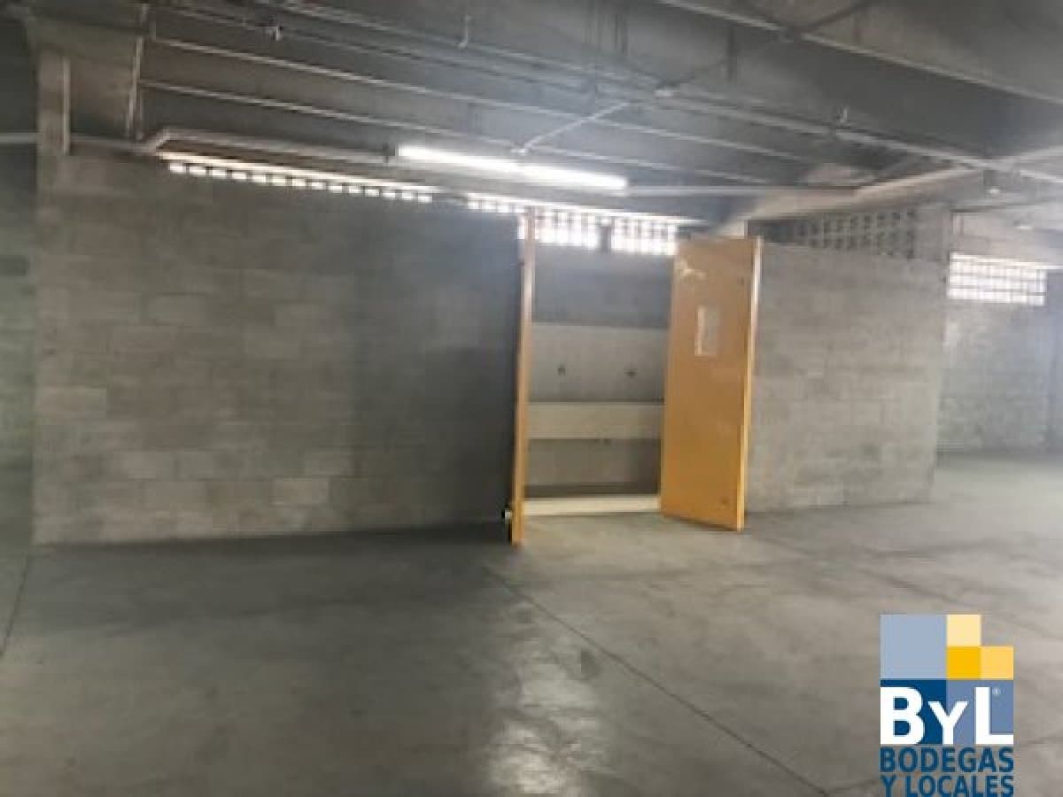 Bodega - Foto 5