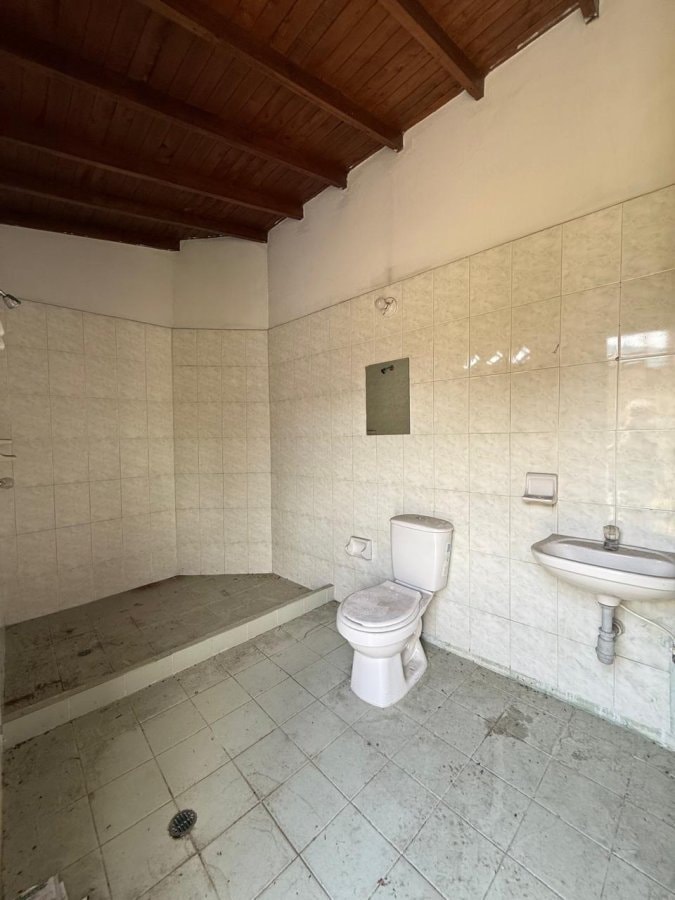 Lote - Foto 6