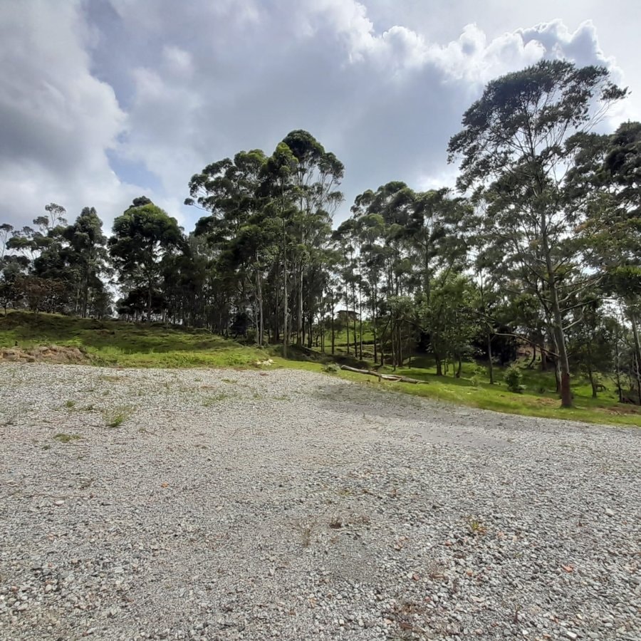 Lote - Foto 6
