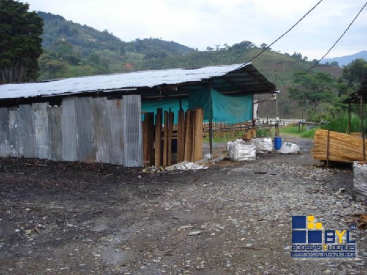 Lote - Foto 1