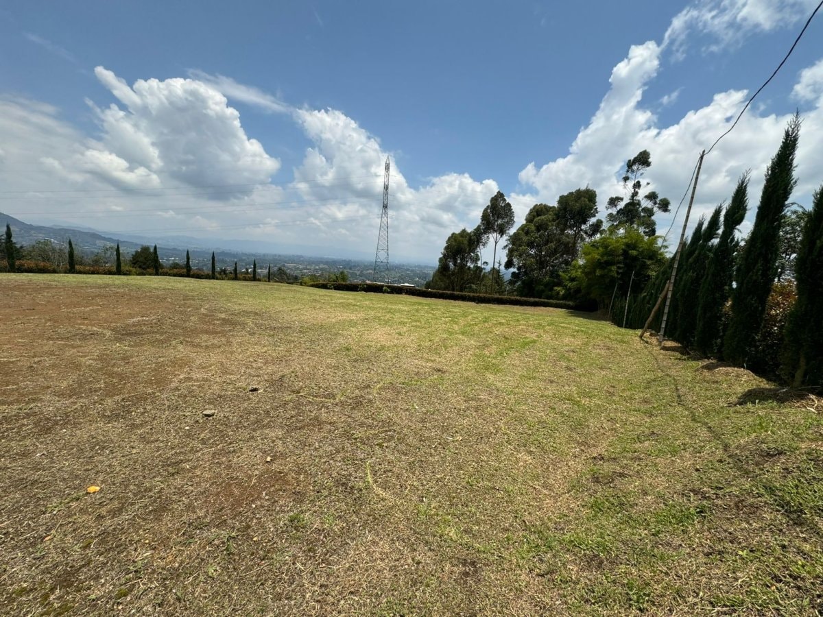 Lote - Foto 7