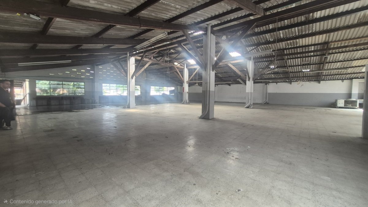 Bodega - Foto 2
