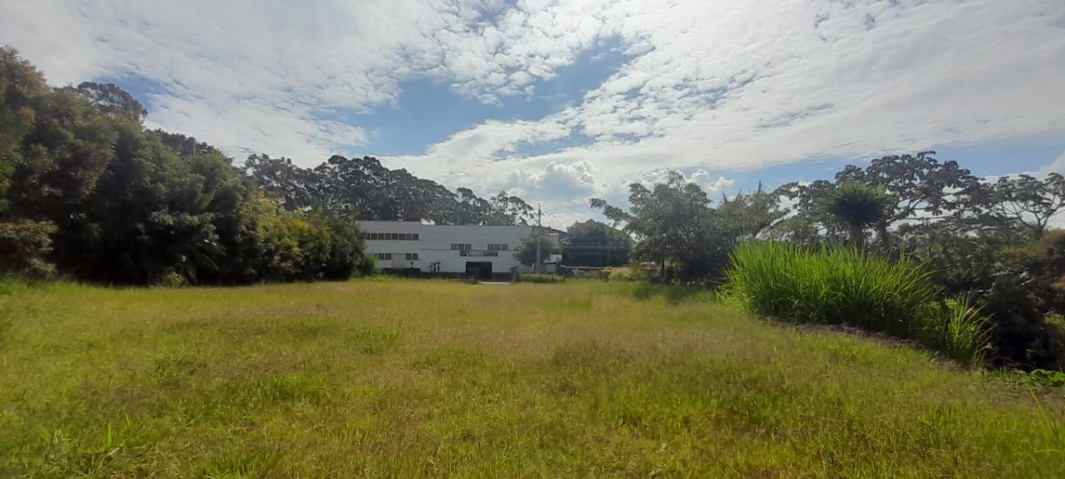 Lote - Foto 4