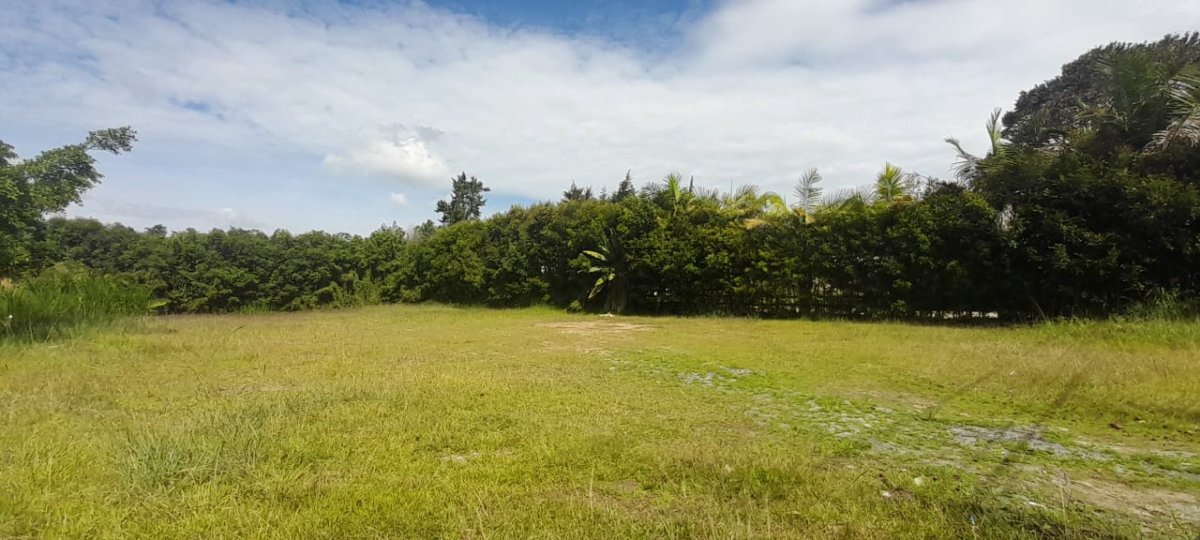 Lote - Foto 2