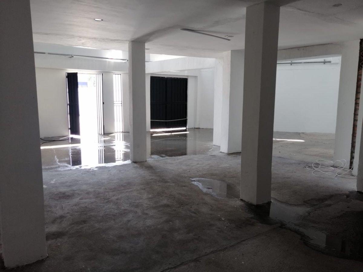 Bodega - Foto 5