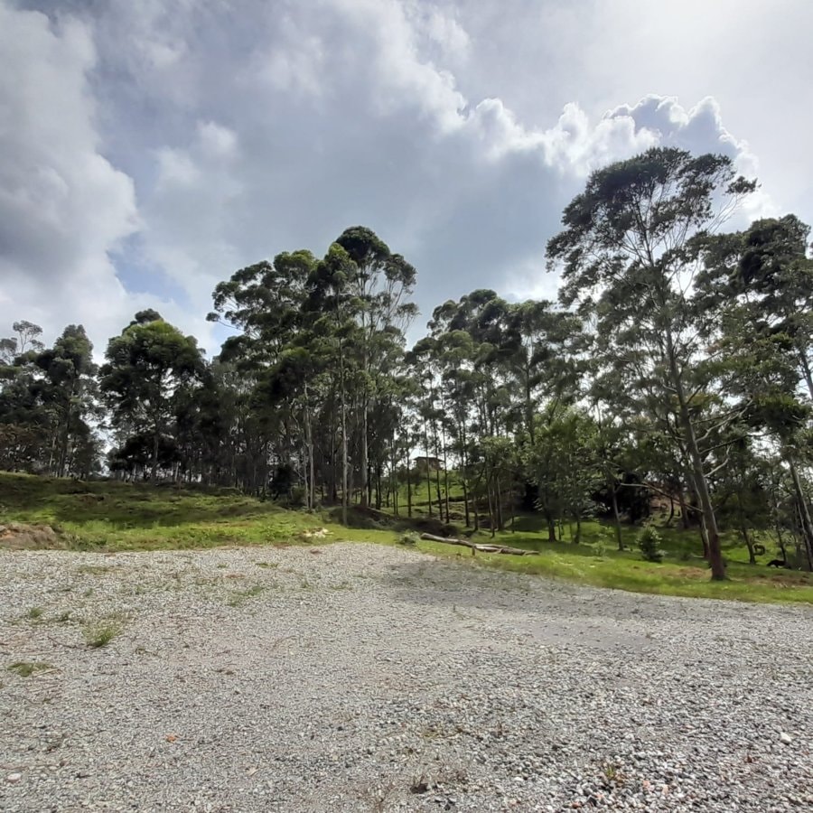 Lote - Foto 5
