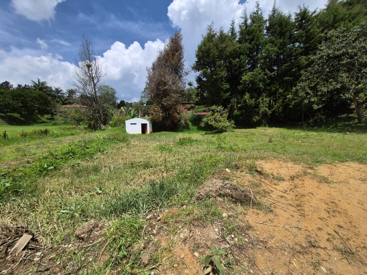 Lote - Foto 2