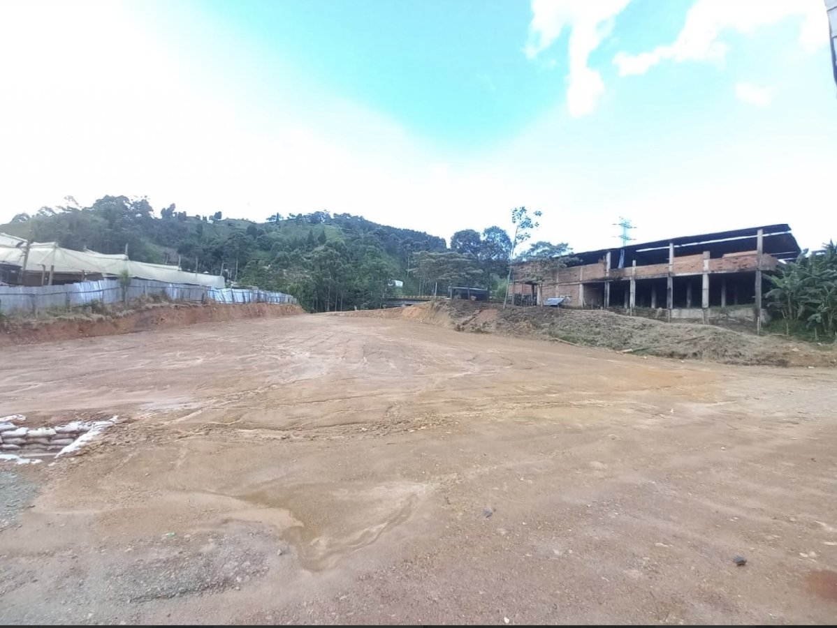 Lote - Foto 4