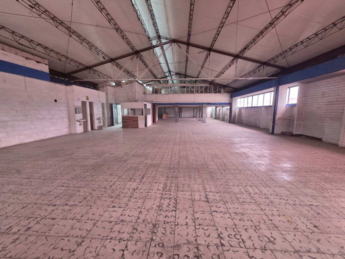 Bodega - Foto 5