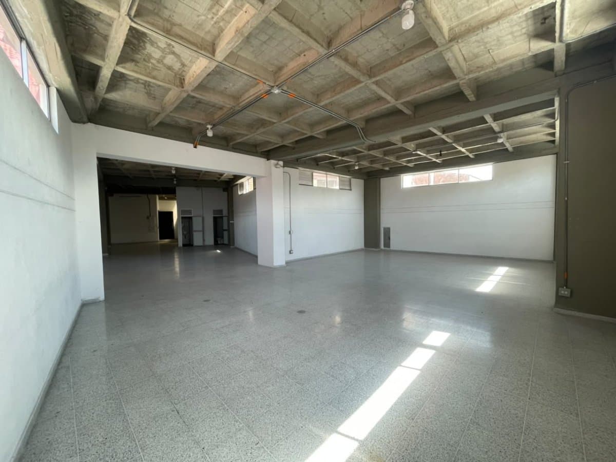 Bodega - Foto 5