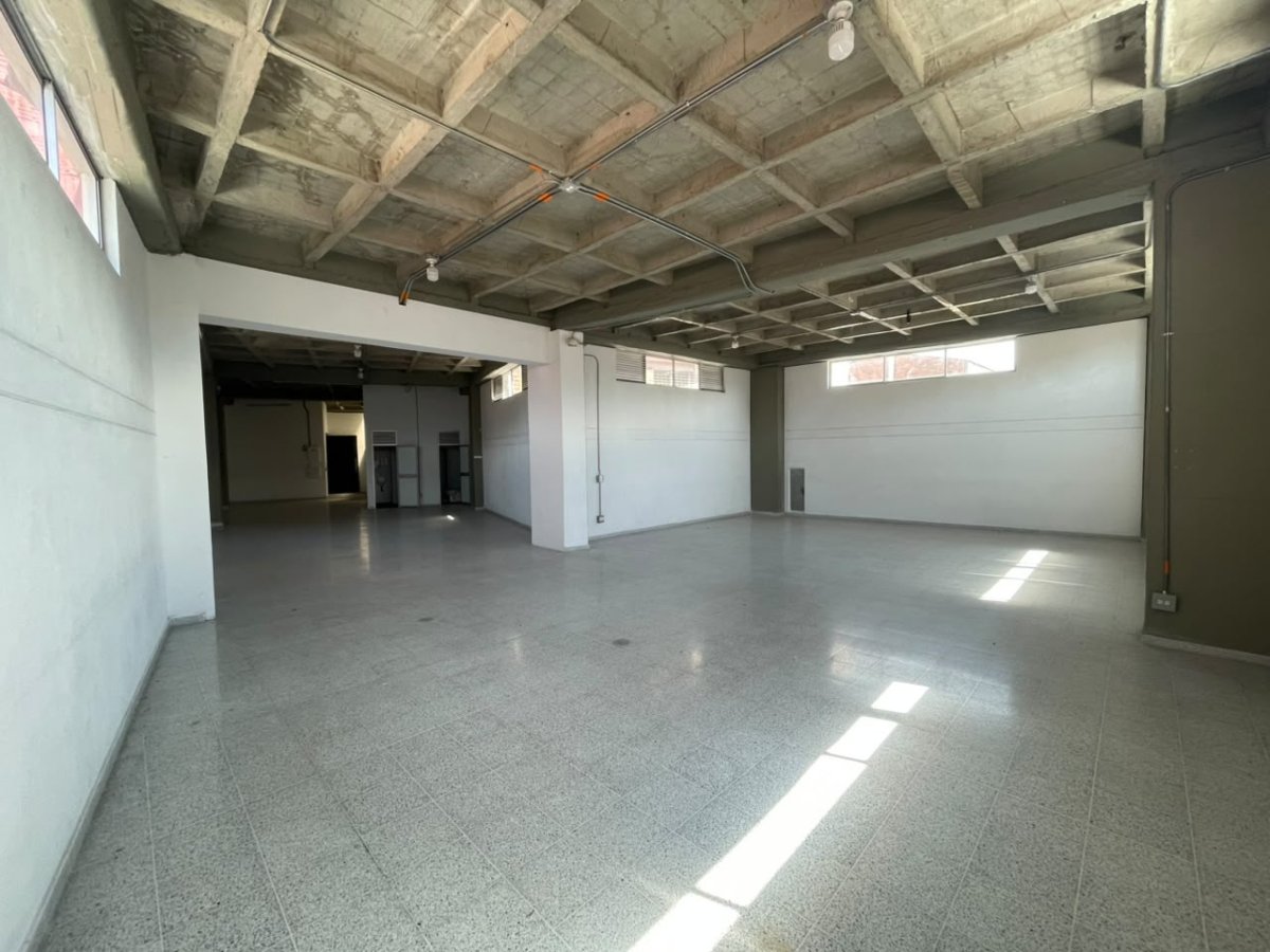 Bodega - Foto 5