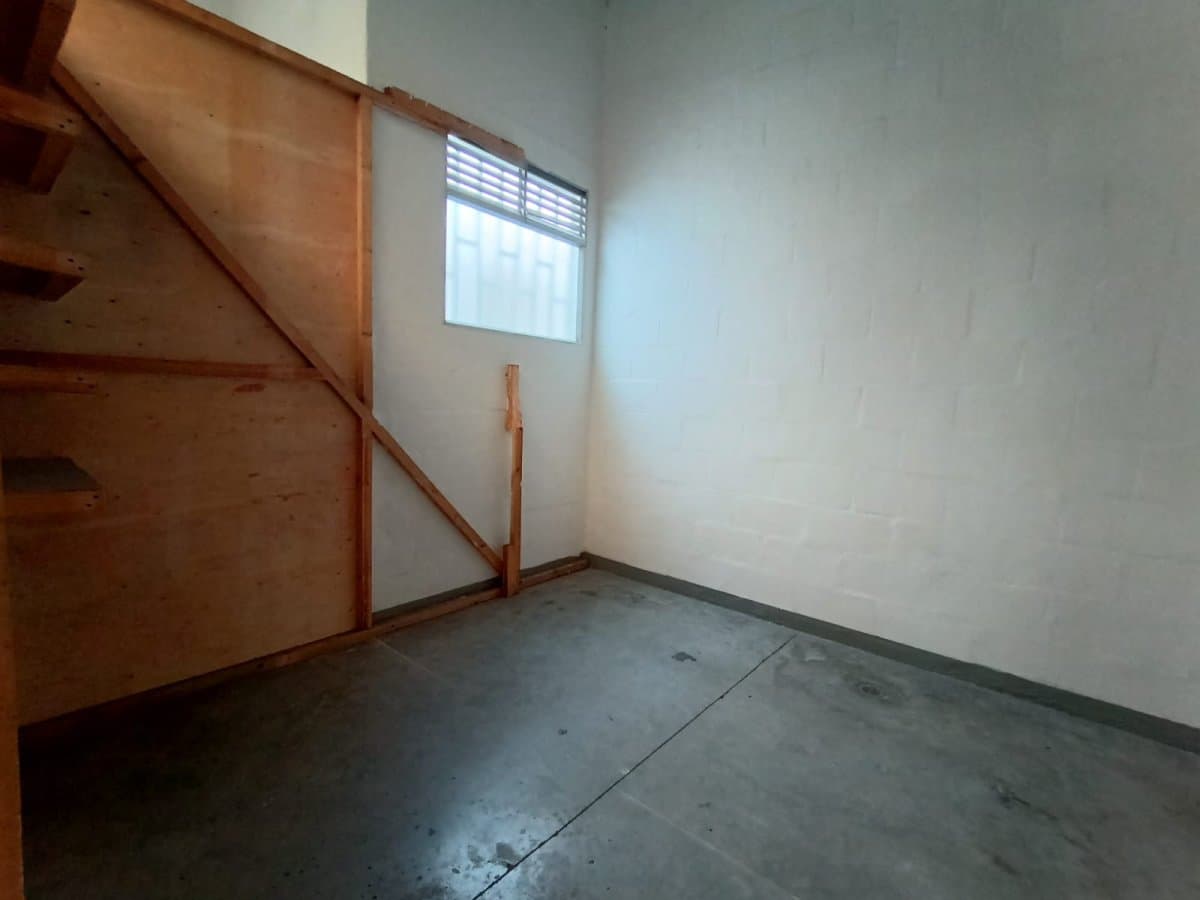 Bodega - Foto 4