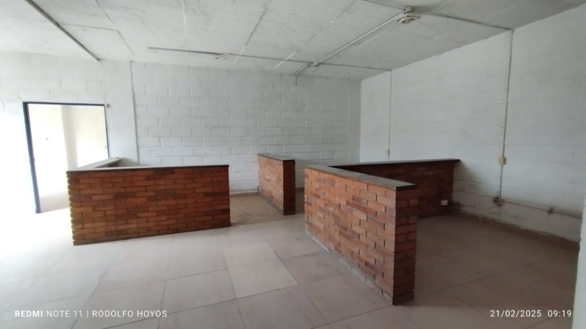 Bodega - Foto 4