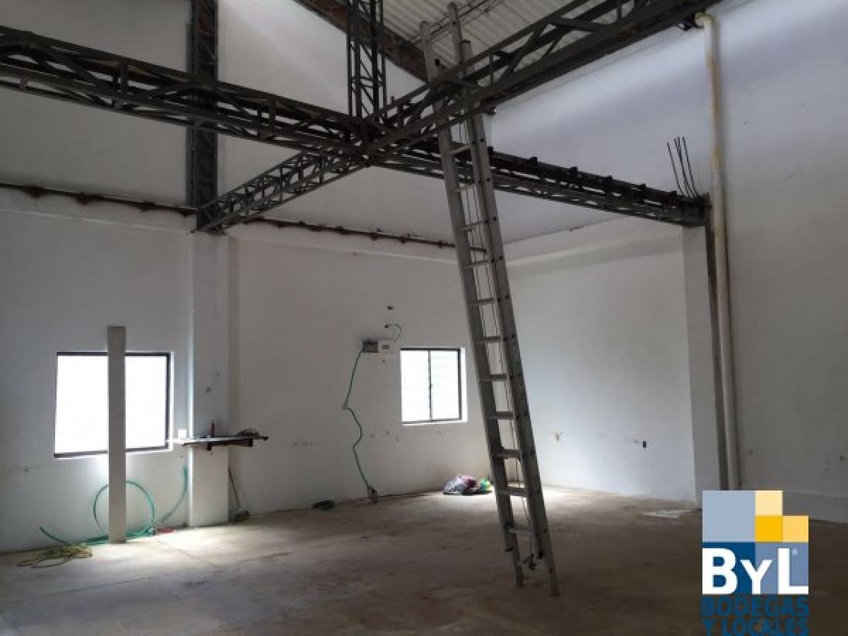 Bodega - Foto 5