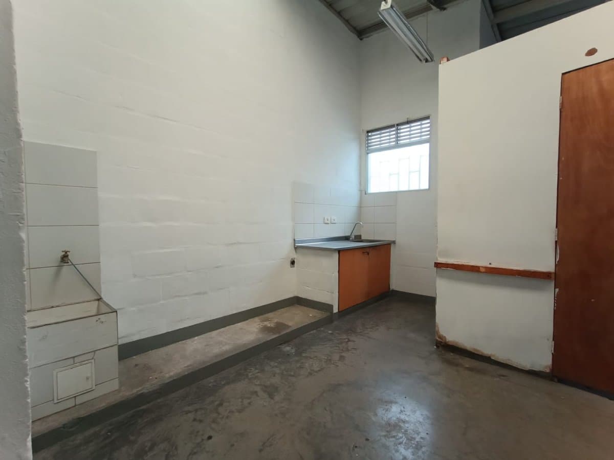 Bodega - Foto 5