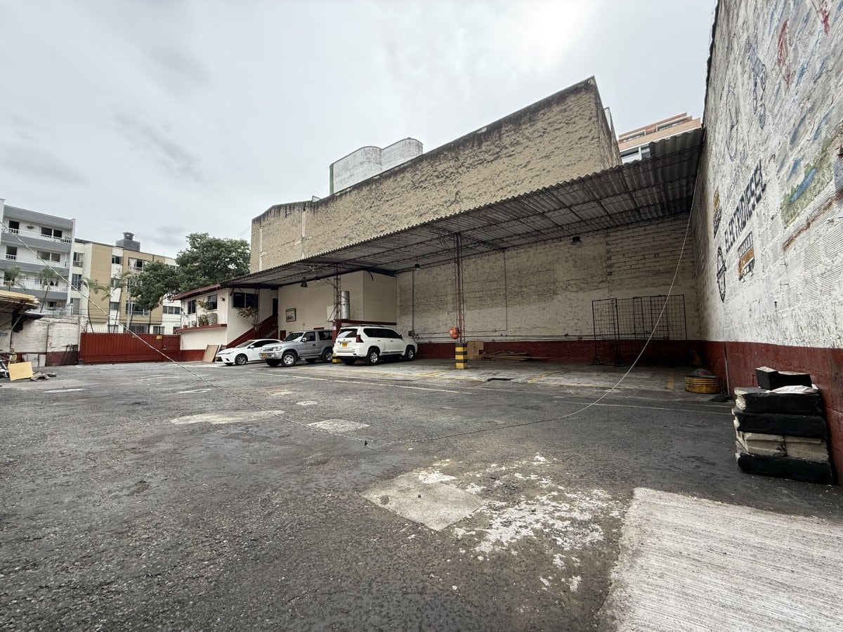 Bodega - Foto 6