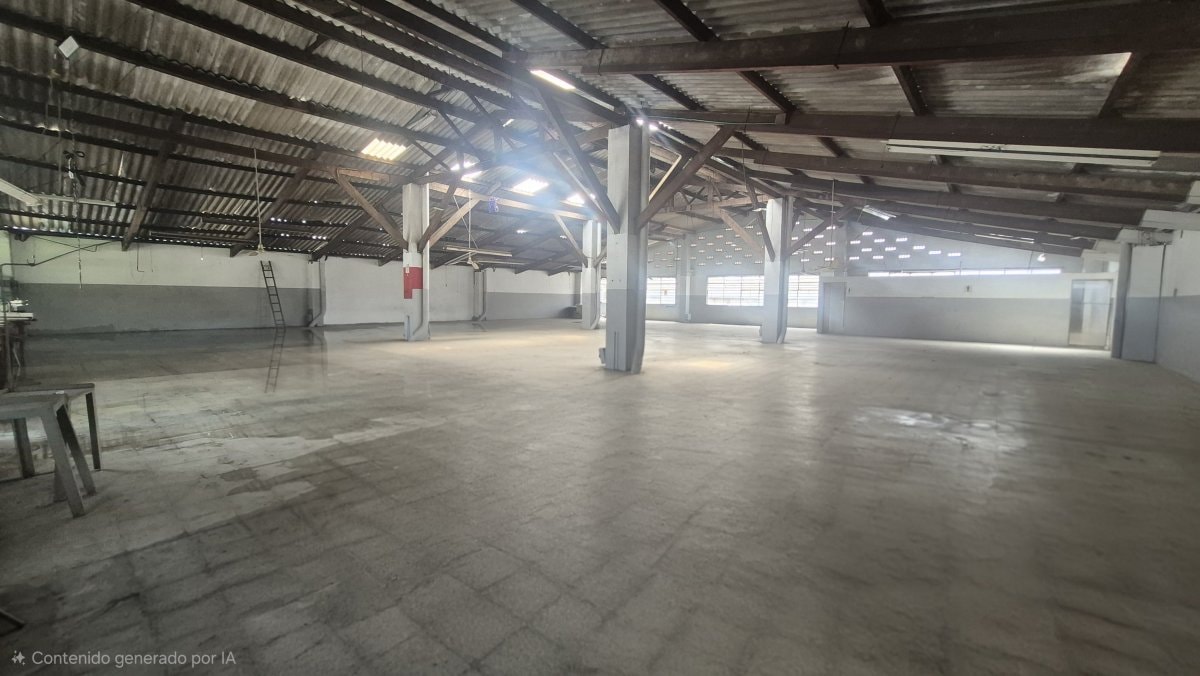 Bodega - Foto 4