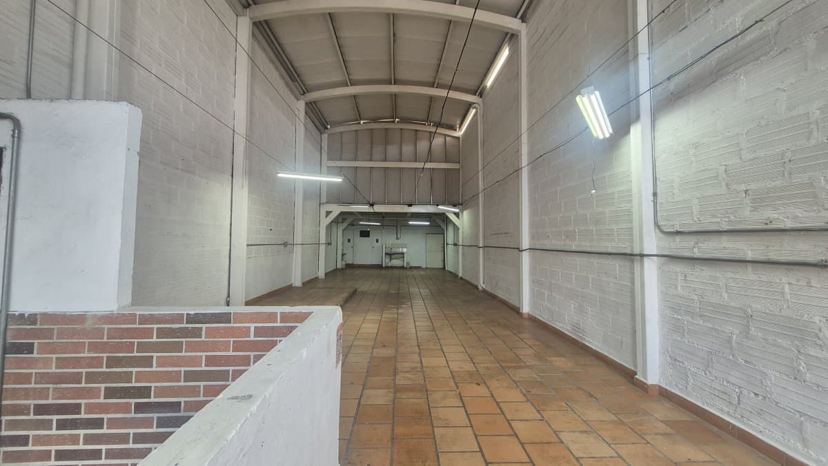 Bodega - Foto 4