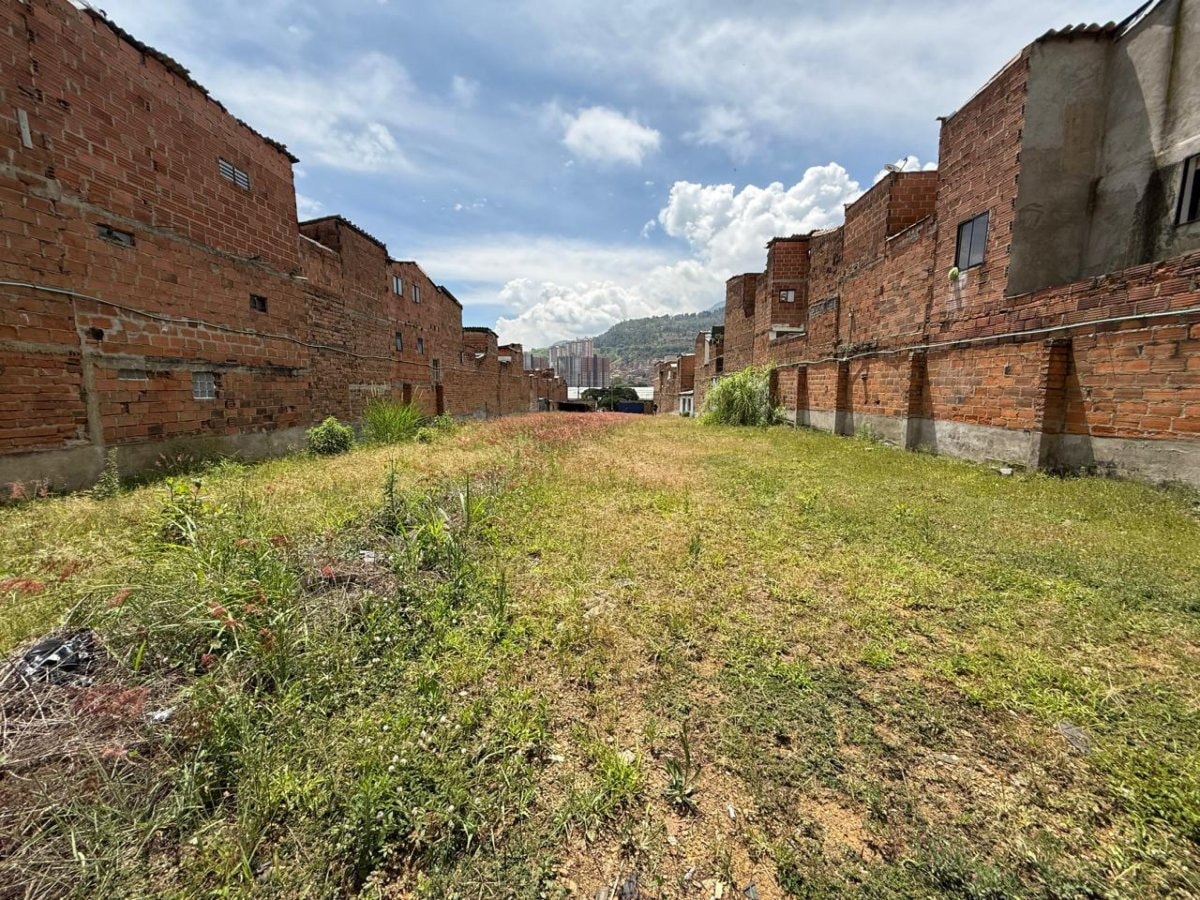 Lote - Foto 7