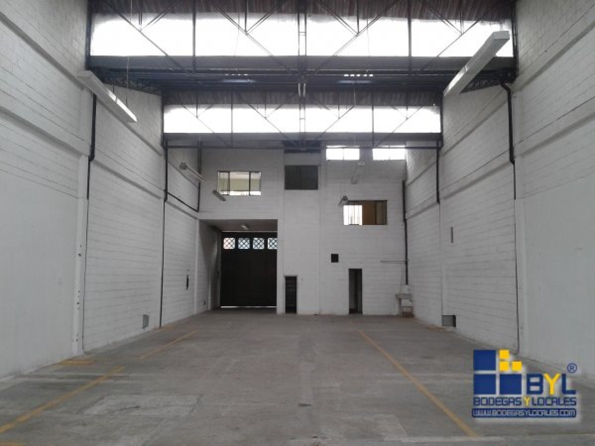 Bodega - Foto 11
