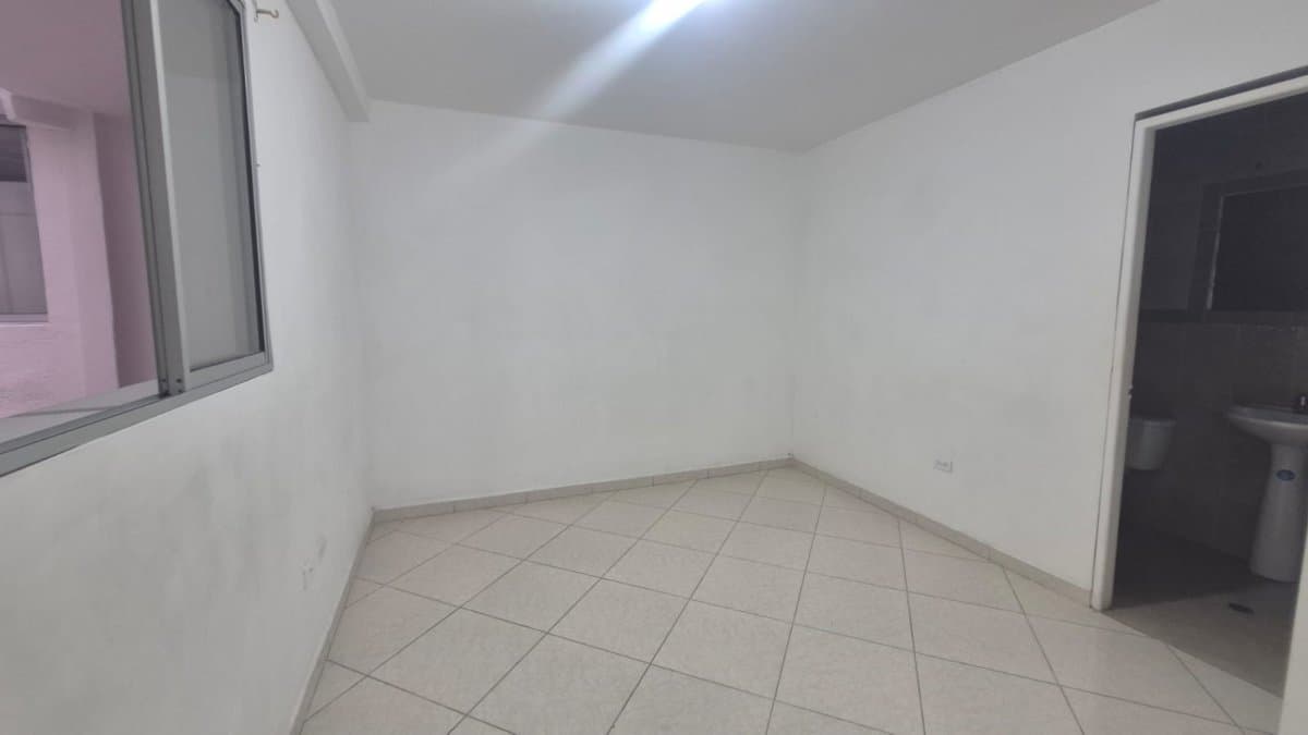Bodega - Foto 6