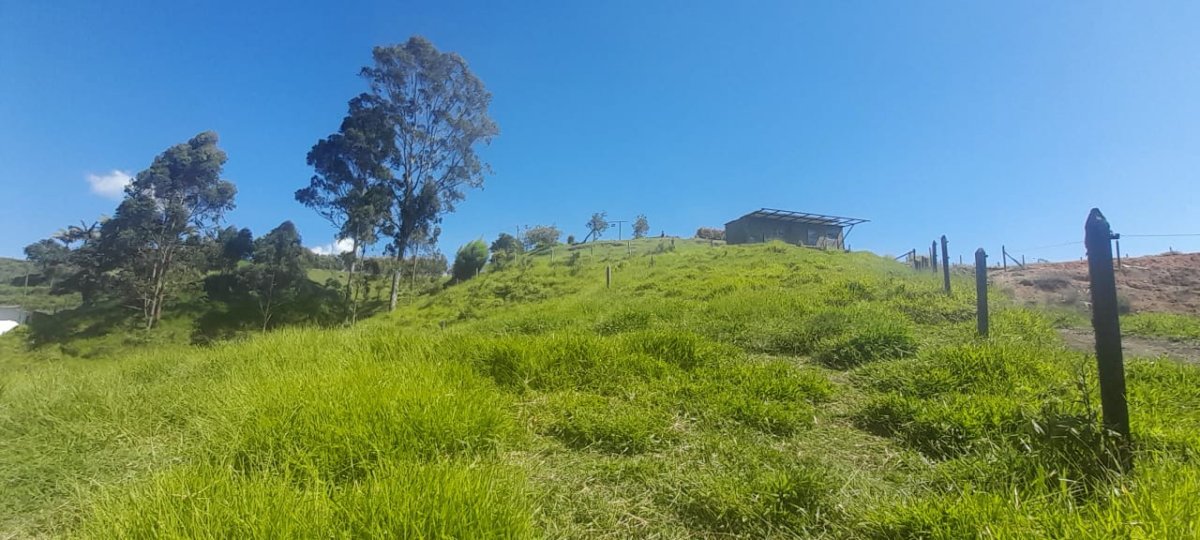 Lote - Foto 8