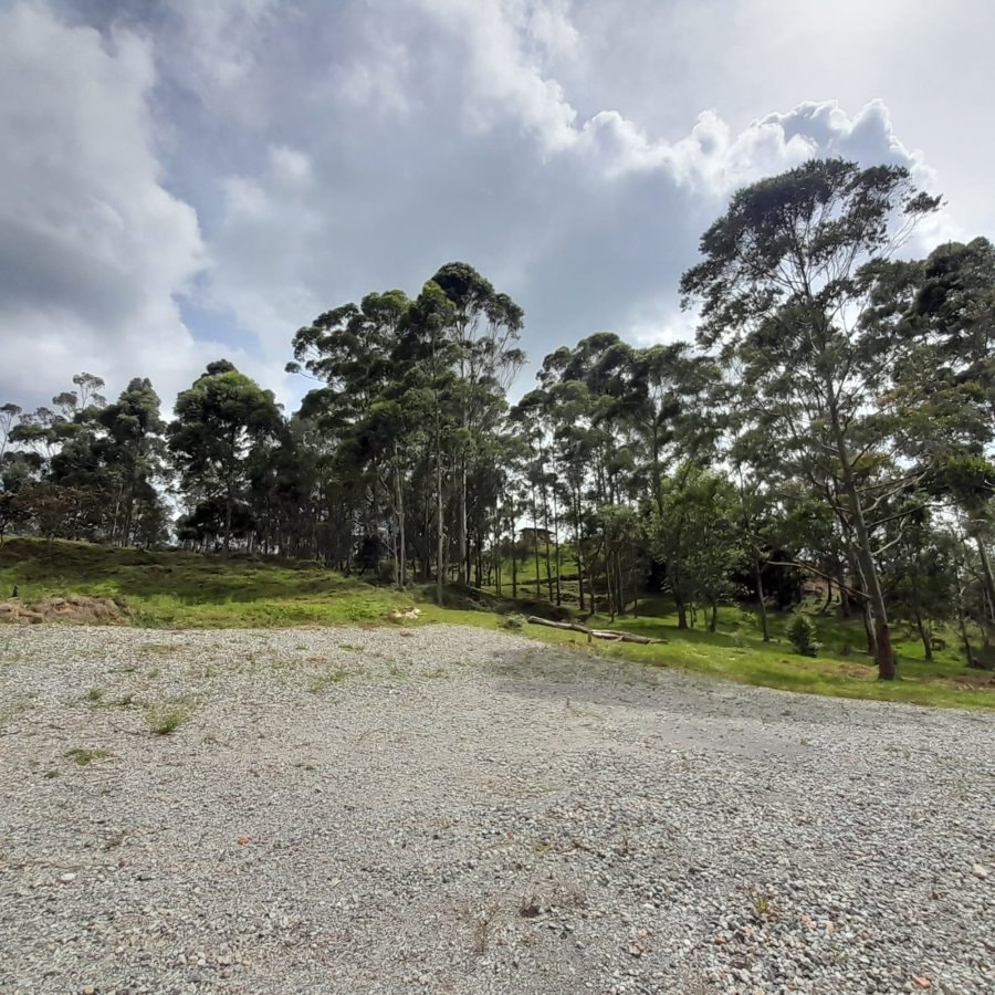 Lote - Foto 4