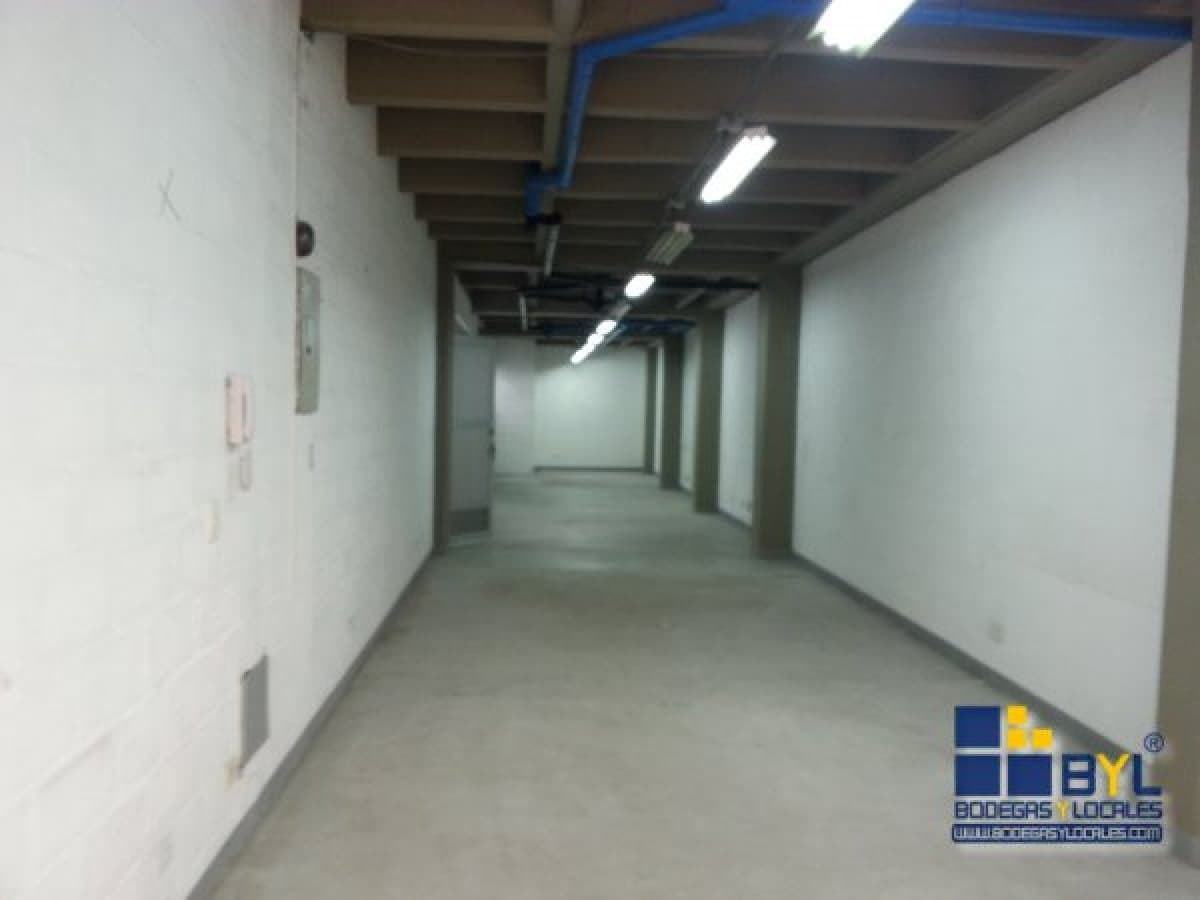 Bodega - Foto 3