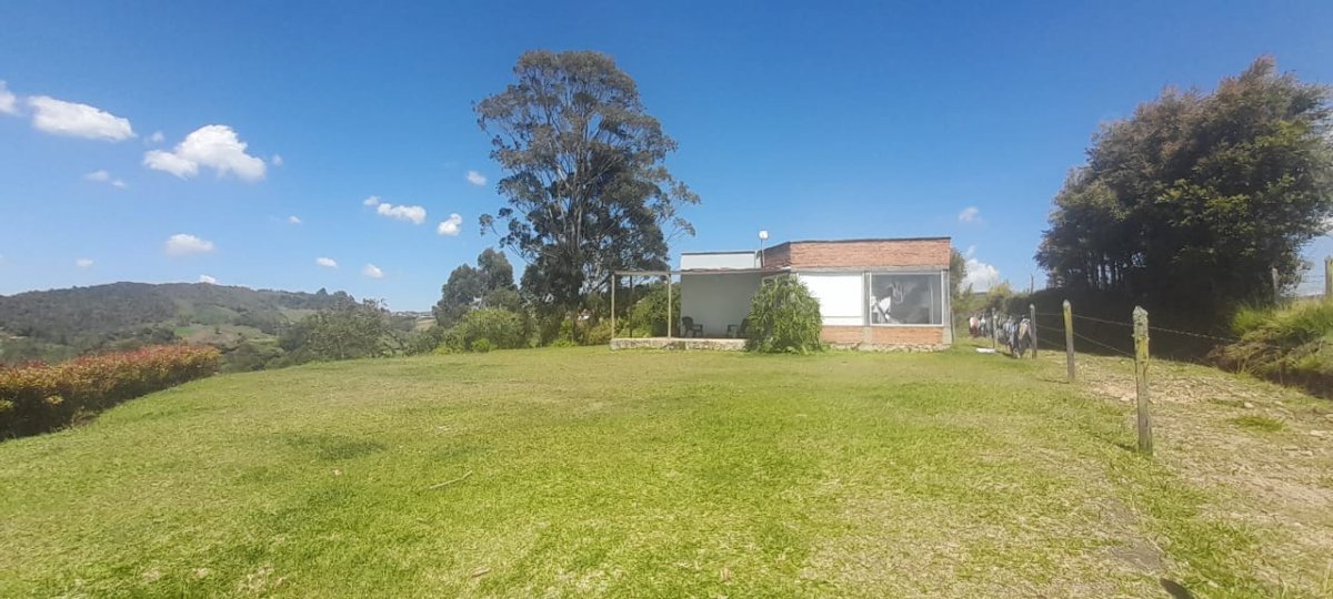 Lote - Foto 1
