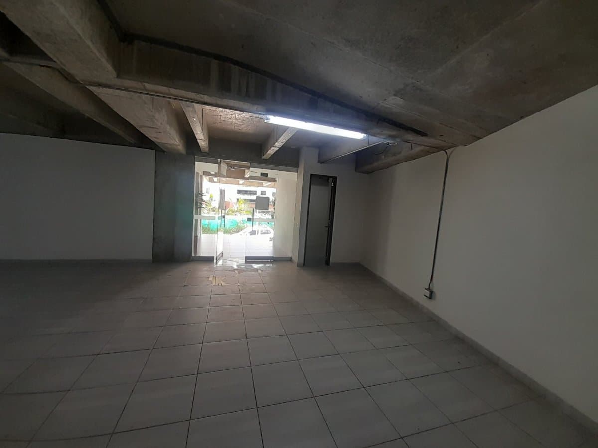 Local - Foto 1