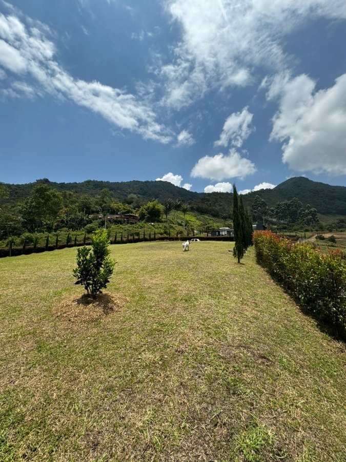 Lote - Foto 2