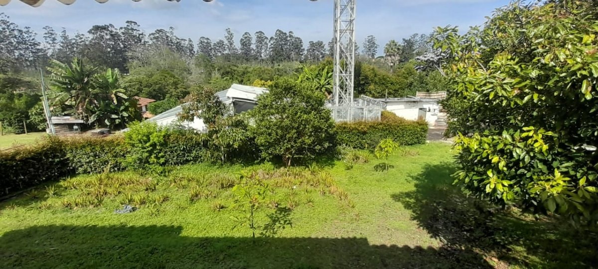 Local - Foto 8
