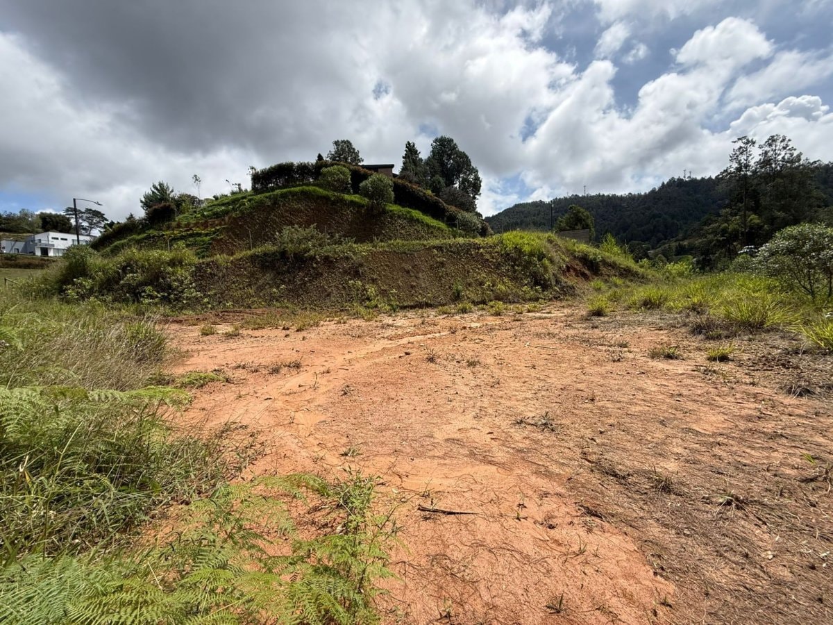 Lote - Foto 7
