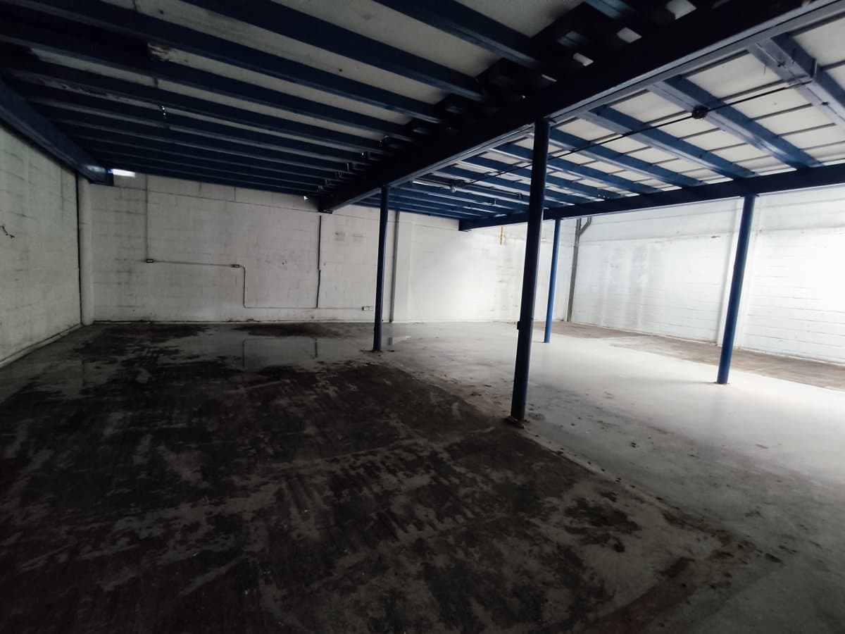 Bodega - Foto 10