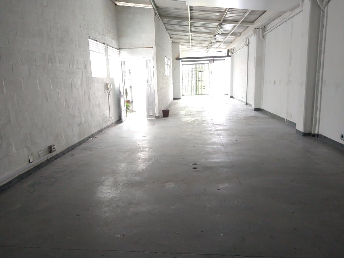 Bodega - Foto 5