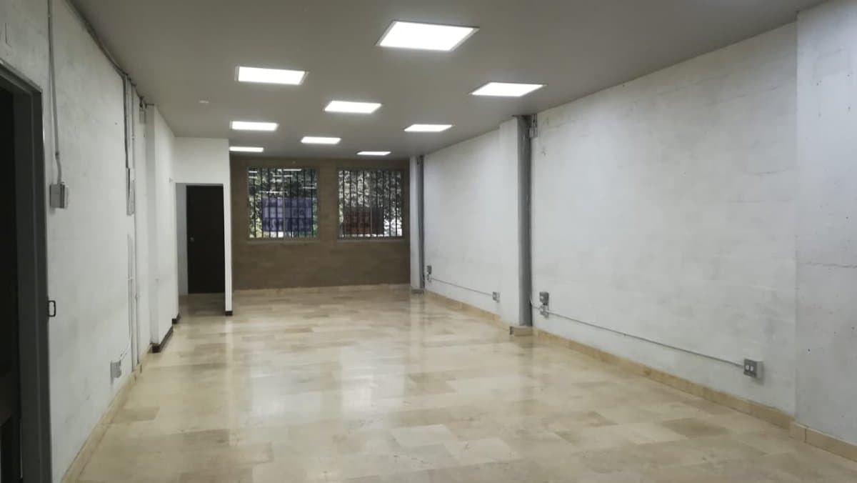 Bodega - Foto 4