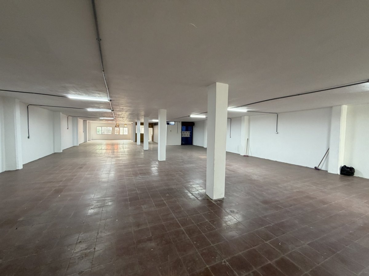Bodega - Foto 2