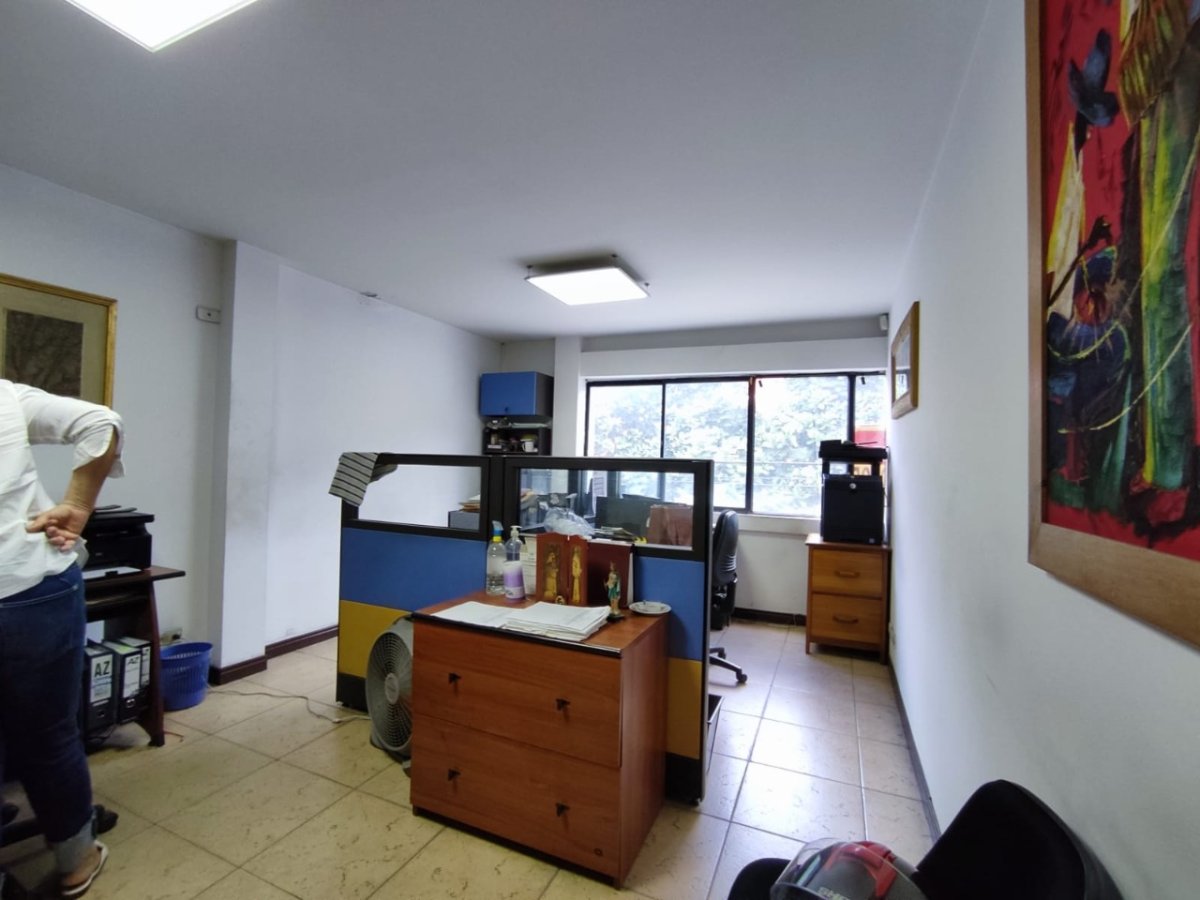Bodega - Foto 11