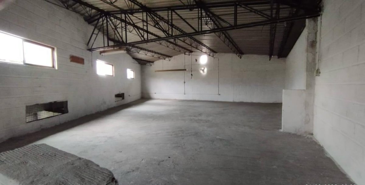 Bodega - Foto 3