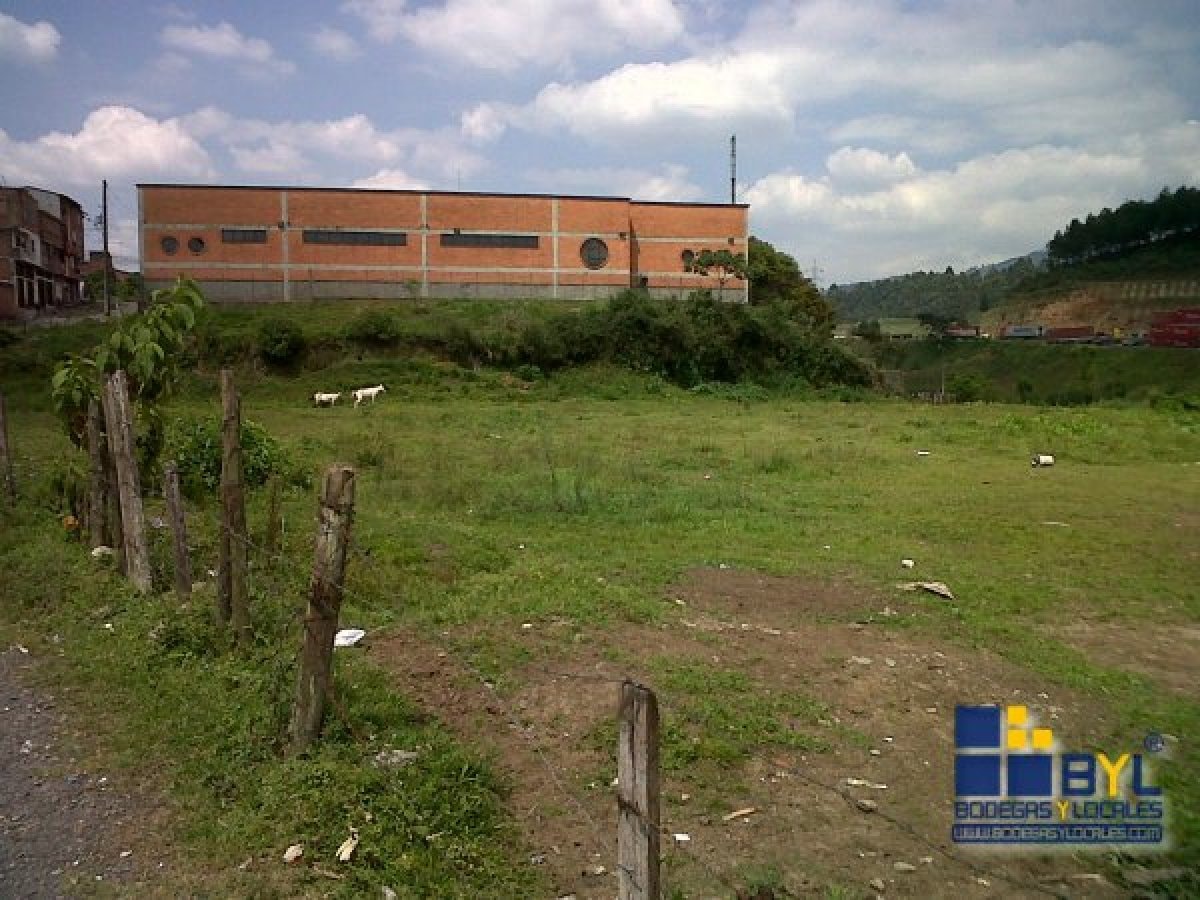 LOTE