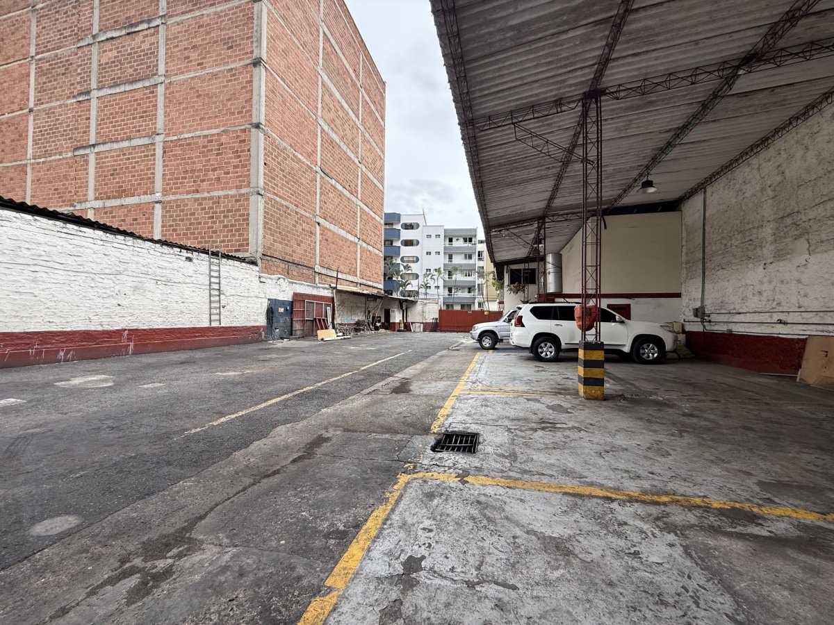 Bodega - Foto 5
