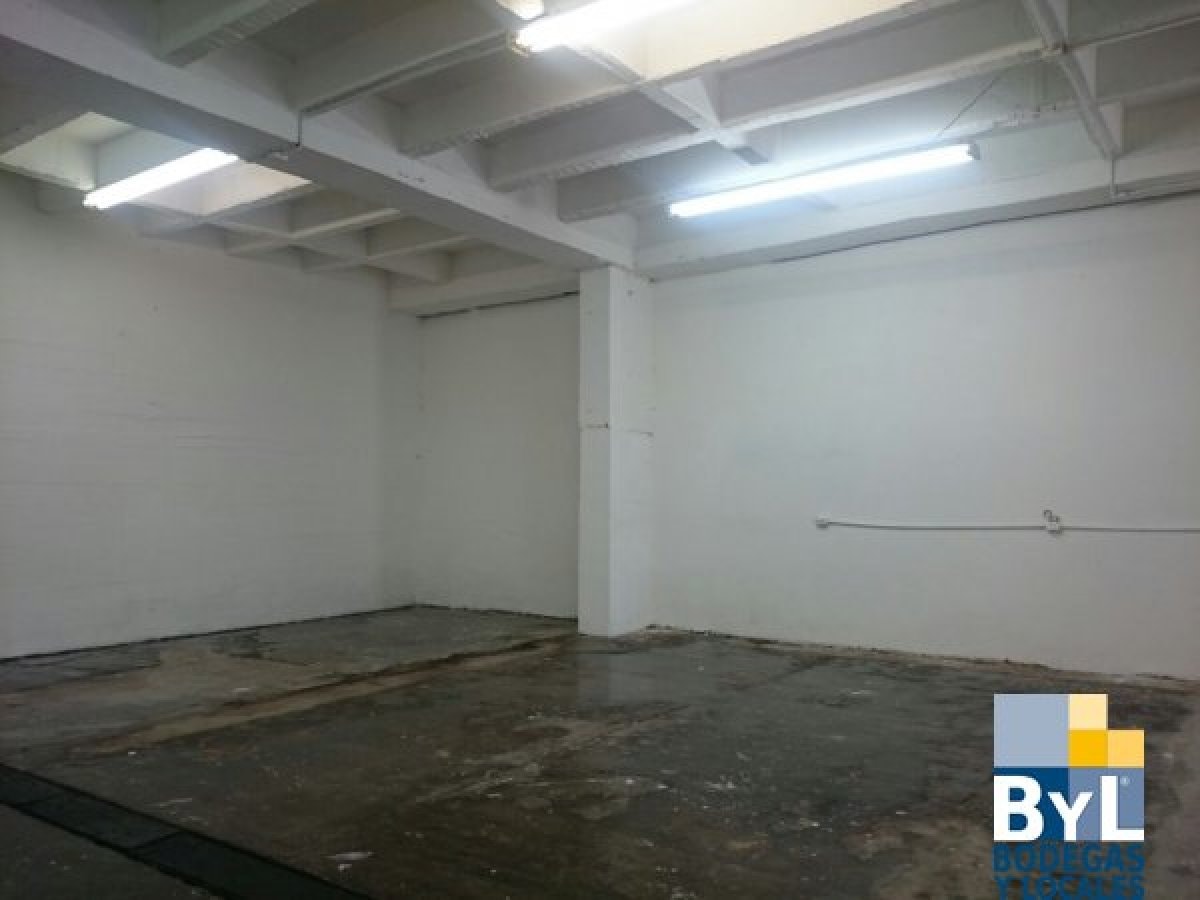 Bodega - Foto 3