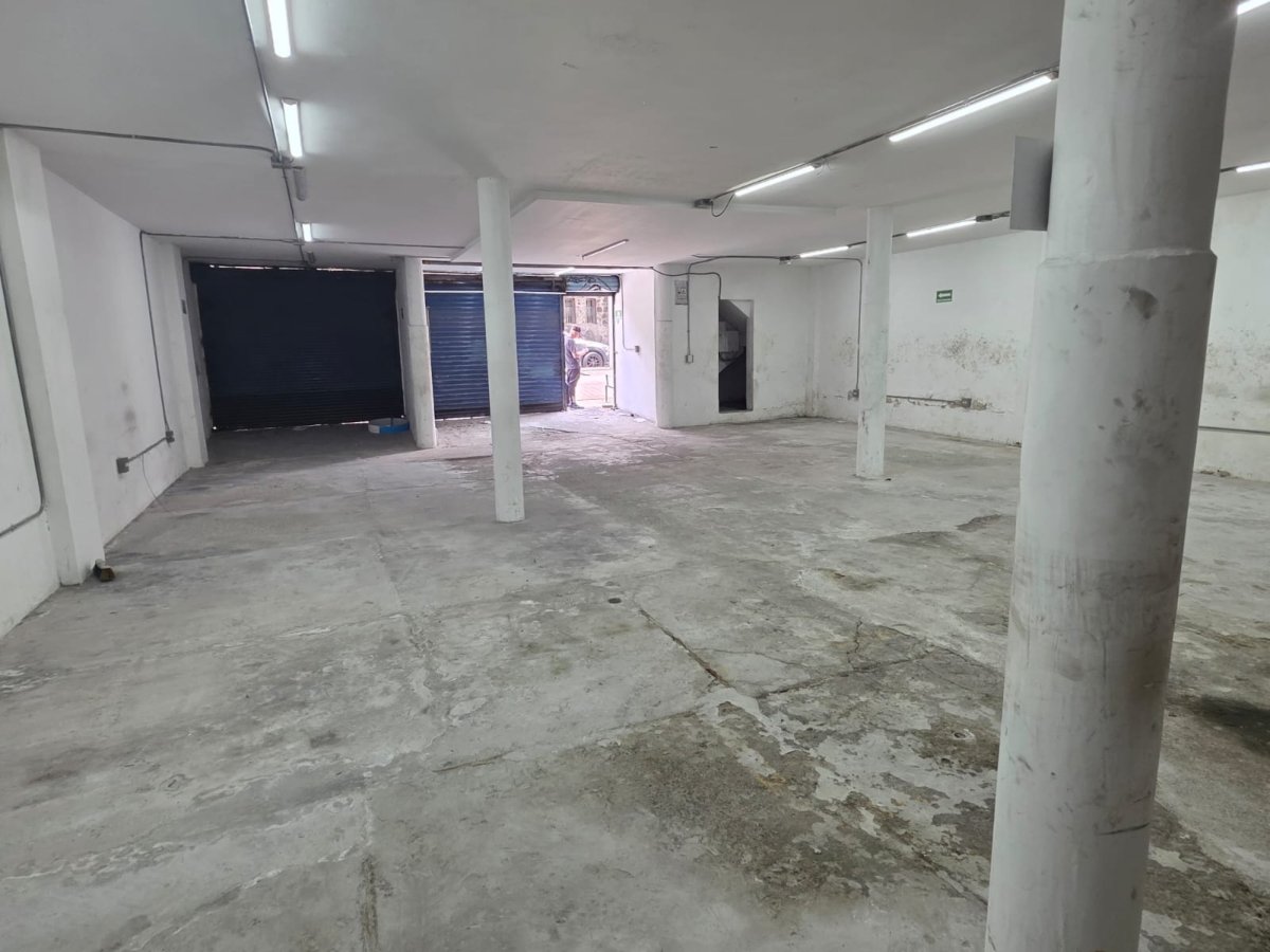 Bodega - Foto 5