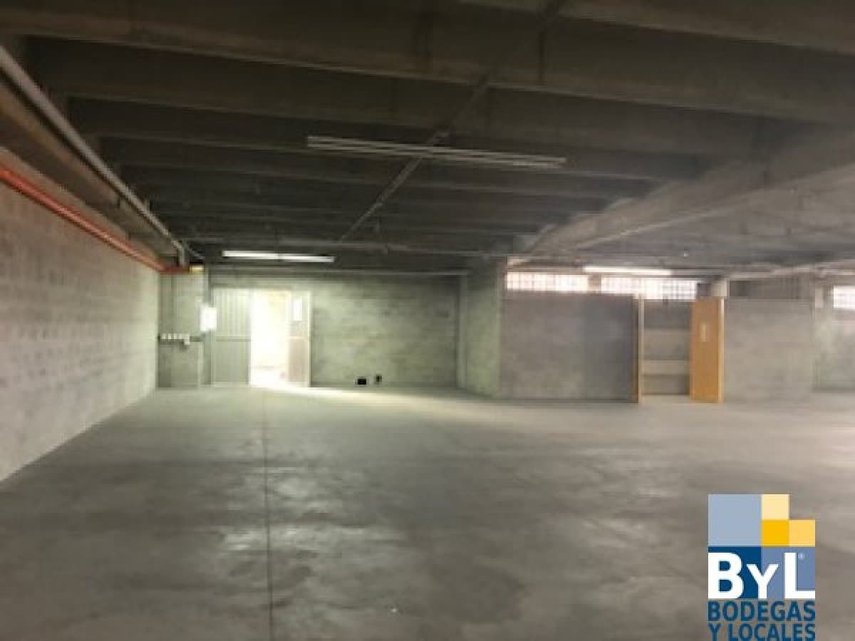 Bodega - Foto 4
