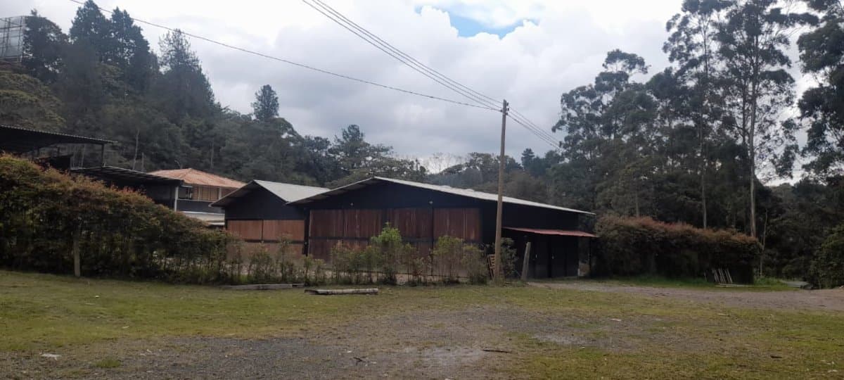 Bodega - Foto 6