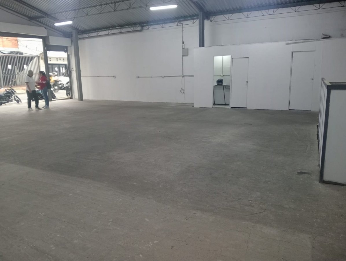 Bodega - Foto 4