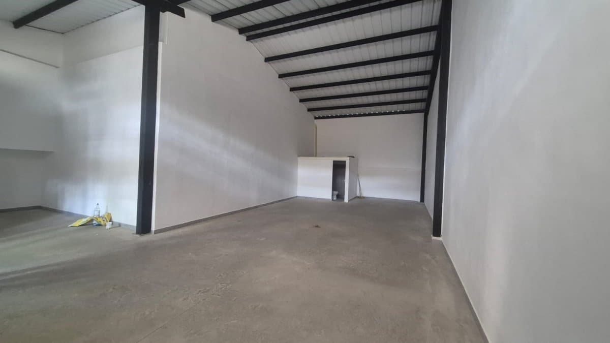 Bodega - Foto 4