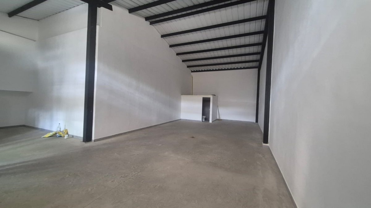 Bodega - Foto 4