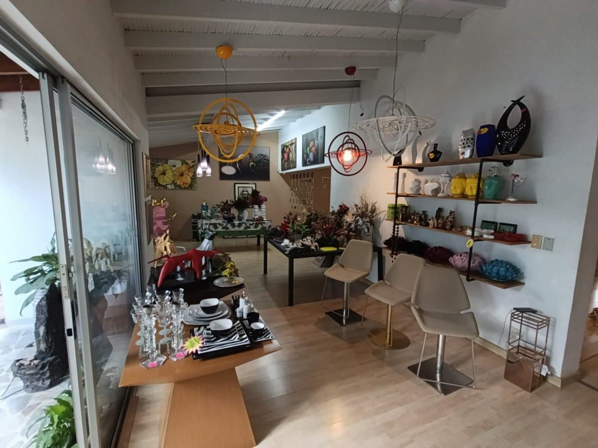 Bodega - Foto 7