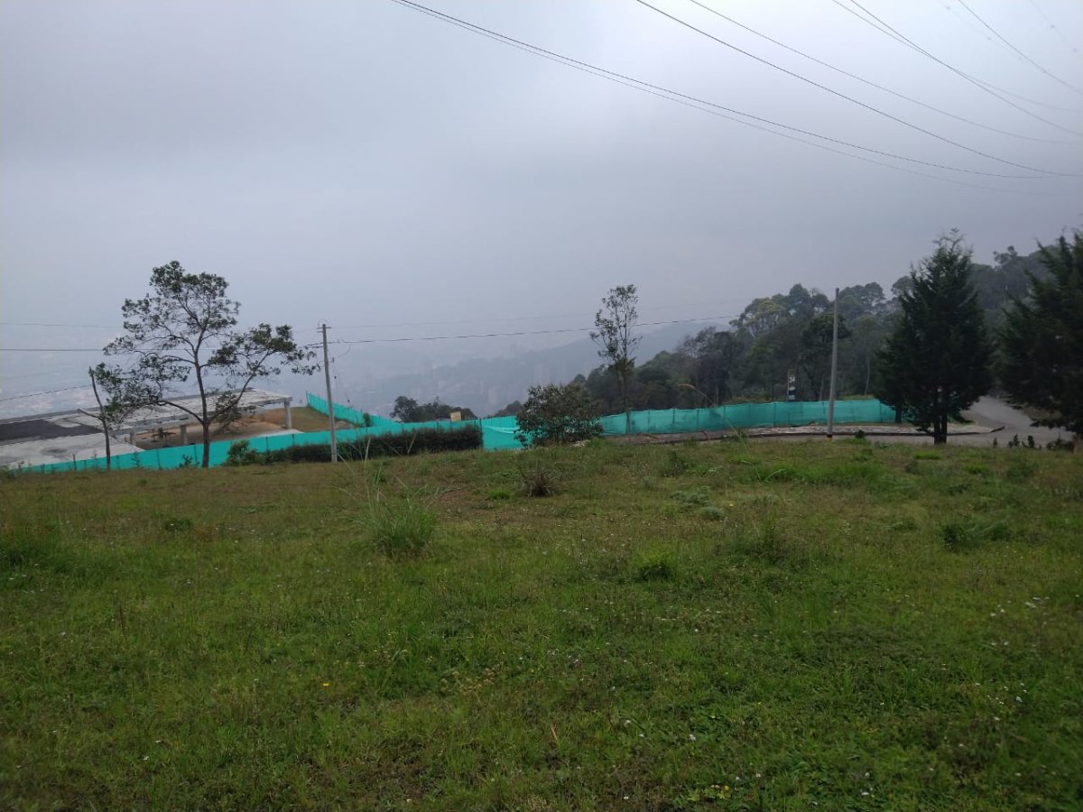 Lote - Foto 5